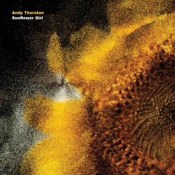 Sunflower-Girl-cover-bigger